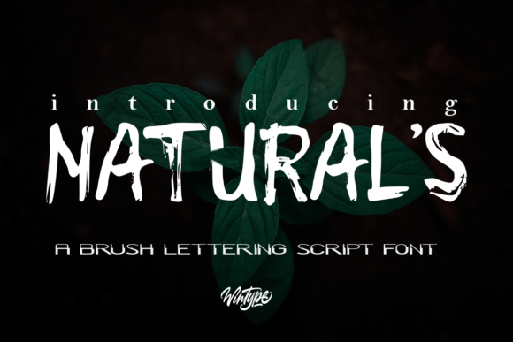 Natural s: A Cool, Rough Textured Display Font