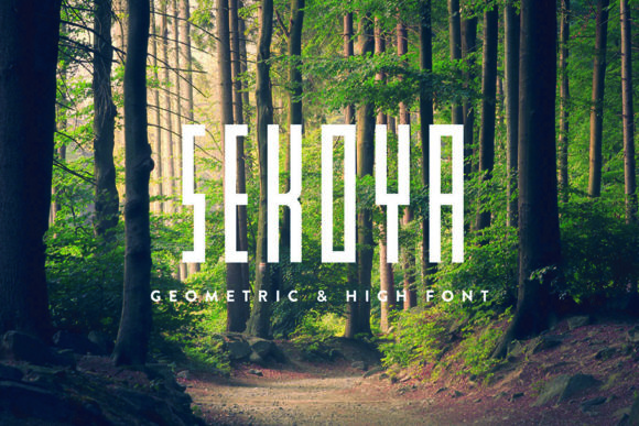 Sekoya: Unlocking the Geometric Potential of Modern Display Typography